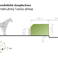 Velká pardubická 2025: Legendární dostih, který stále dýchá tradicí a napětím Velká pardubická 2025: Legendární dostih, který stále dýchá tradicí a napětím