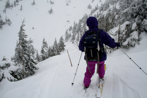 Krkonoše, Dlouhý důl. Krkonoše, Dlouhý důl.