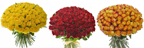 Kytice 100 růží. Růže.