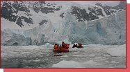 Antarktida, Paradise Bay, plavba v zodiacch 