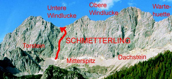 Dachstein, Untere Windlucke, Schmetterling