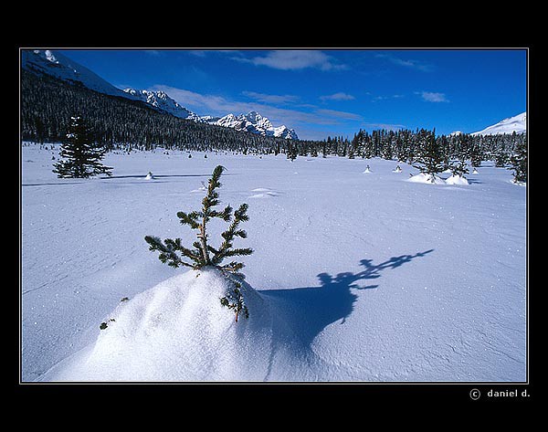 Krajina ve fotografii