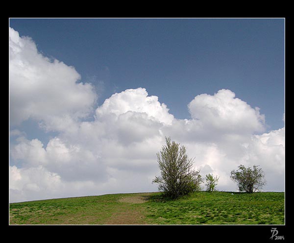 Krajina ve fotografii