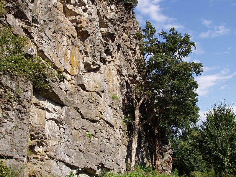 Dyje, Drosendorf - Podhrad 