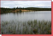 Urho Kekkonen National Park. Seversk les s rybnkem a psitou pl. 