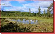 Urho Kekkonen National Park. Tundra, moly, lesy. 