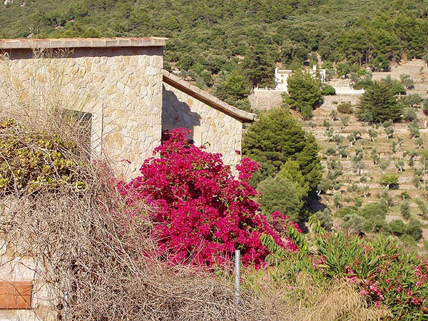 Mallorca, turistick zajmavosti