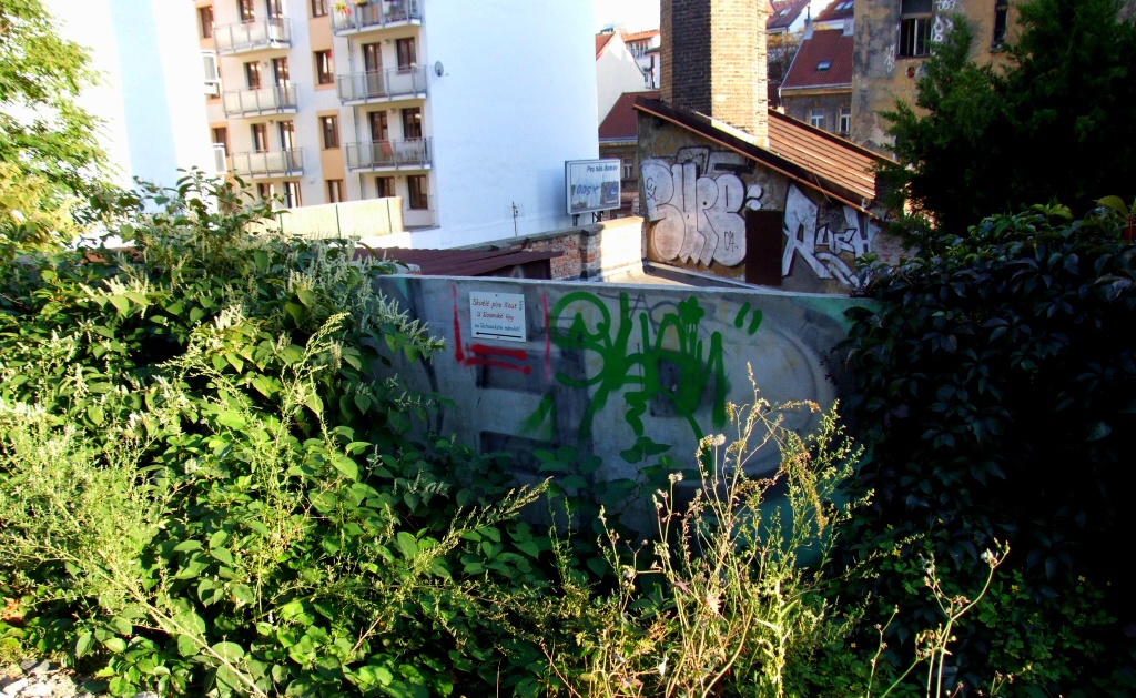 Praha, ikov, Vtkov 2010 - Horydoly.cz 