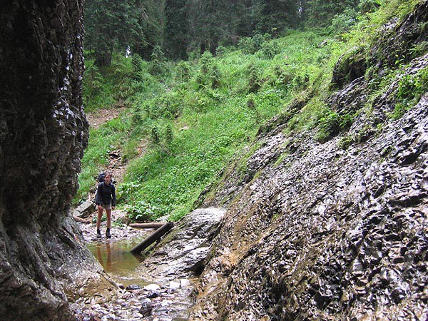 Rumunsko, Bihor, Padi a Vladeasa