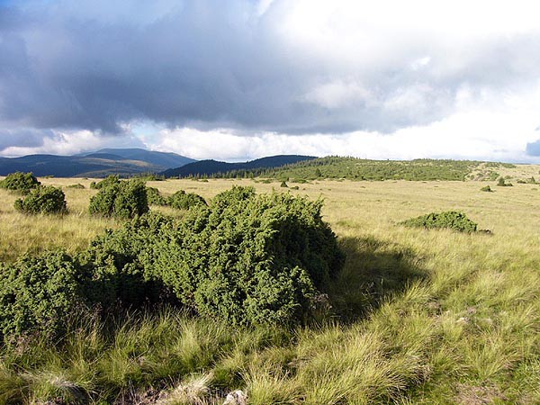 Rumunsko, Bihor, Padi a Vladeasa