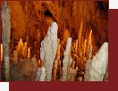 Medvd jeskyn
