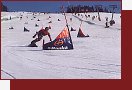 Paraleln snowboardov slalom
