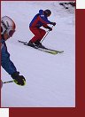Paraleln slalom    