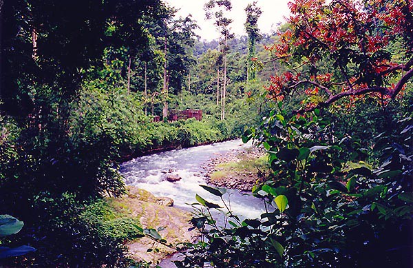 Sumatra, Gunung Leuser, rezervace pro orangutany