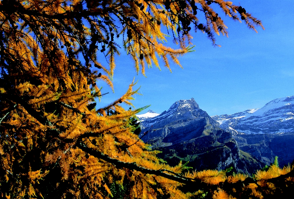 Alpy v okol enevskho jezera