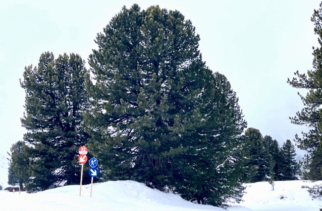 Mountopolis: nové jméno pro Zillertal ski safari