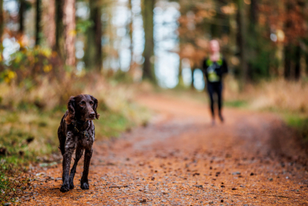 Poslední na startu, první v cíli: Beránkův maratonský křest v terénu