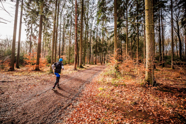 Poslední na startu, první v cíli: Beránkův maratonský křest v terénu