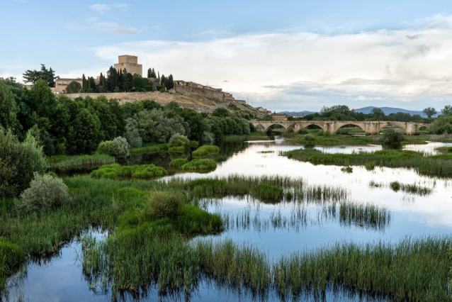 Ciudad Rodrigo celebrates a centenary festival with bull runs, capeas and bullfights