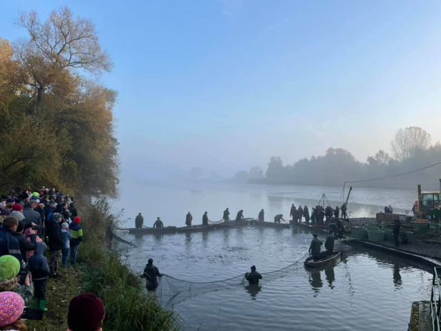 Výlovy rybníků 2019 září