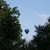 Vyhlídkové lety balonem: co čekat a jak si užít?