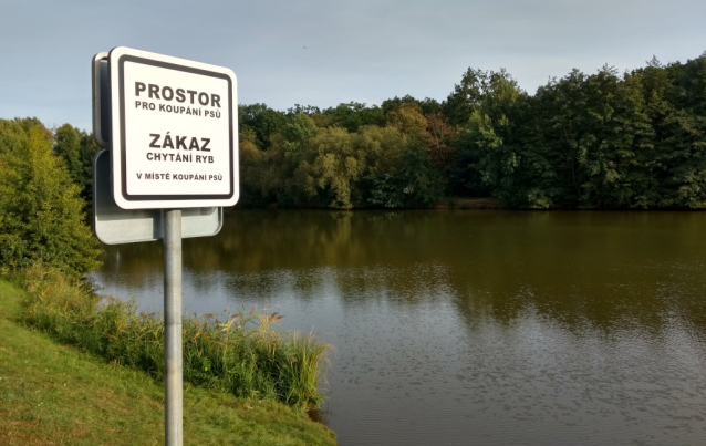 Výlovy rybníků 2024 říjen - 1. část