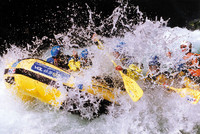 Noce Total Enjoyment Noce Total Enjoyment