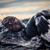 Strongman Ross Edgley swims into shore after 157 days and 2,000 miles at sea Strongman Ross Edgley swims into shore after 157 days and 2,000 miles at sea