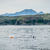 Strongman Ross Edgley swims into shore after 157 days and 2,000 miles at sea Strongman Ross Edgley swims into shore after 157 days and 2,000 miles at sea
