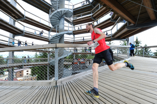 Stezka v korunách stromů Lipno. Horský půlmaraton Lipno.