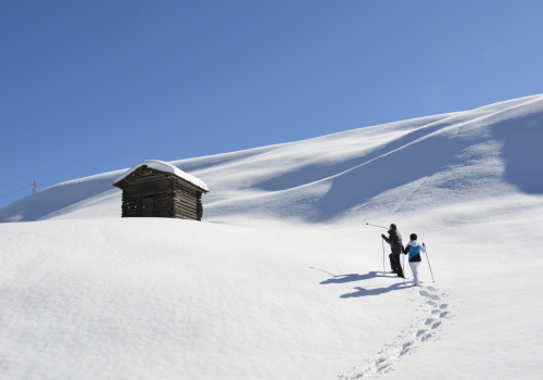 Lesachtal, snowshoe walking / túra na sněžnicích. Lesachtal, Kärnten / Korutany.
