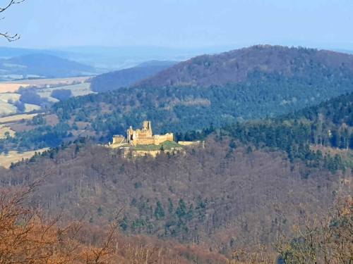 Hrad Zborov, Šariš. Pohled z lokality Čierna Mláka. Hrad Zborov, Šariš.