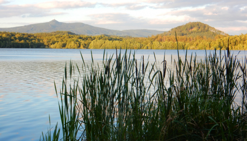 Hamr na Jezeře. Výhled zpod Hutníku přes Jezero na Ještěd. Hamr na Jezeře.