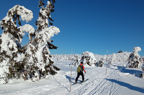 Szrenica, Krkonoše.