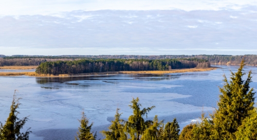 Juniper Valley / Jalovcové údolí. Litva / Lithuania.