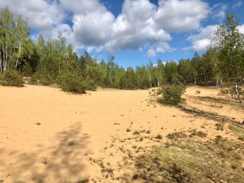 Marcinkoniu Geomorphological Reserve. Litva / Lithuania.