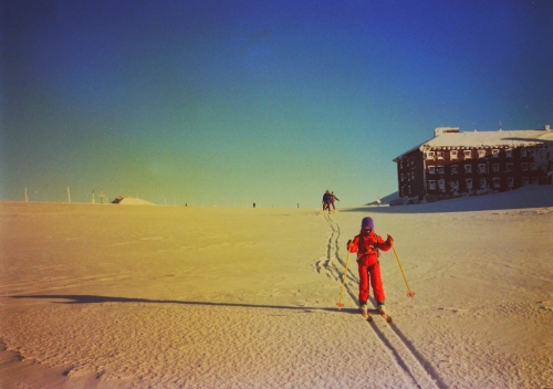 Údolí Bílého Labe pod Luční boudou. Bílé Labe.