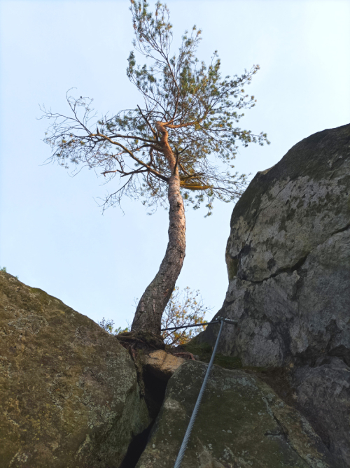 Bezděčínská věž, via ferrata Skab.